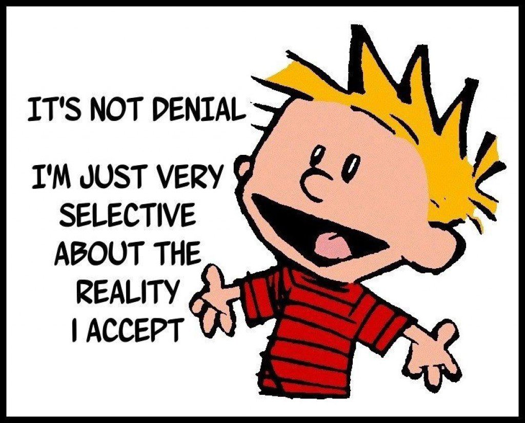 Calvin: I'm not in denial.  I'm just very selective about the reality I accept.