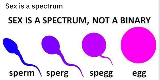 Sex is a Spectrum: Look at all the gametes we've discovered!